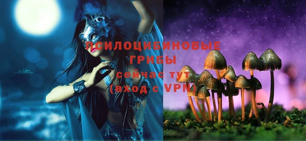 PSILOCYBIN Тобольск