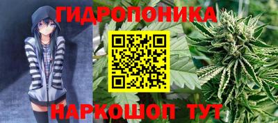 ГАЛЛЮЦИНОГЕННЫЕ ГРИБЫ Краснокаменск