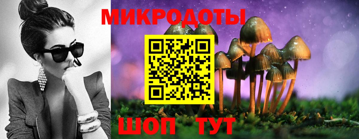 Муром  Псилоцибиновые грибы мухоморы  Псилоцибиновые грибы мухоморы  Вход с VPN 